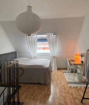 Maisonette Wohnung im Herzen Göttingens